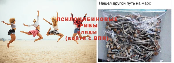 сатива Балабаново