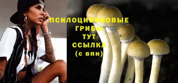 сатива Балабаново