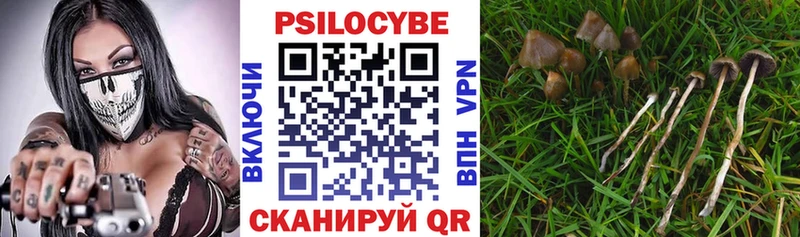 Псилоцибиновые грибы Psilocybine cubensis  хочу   Семилуки 